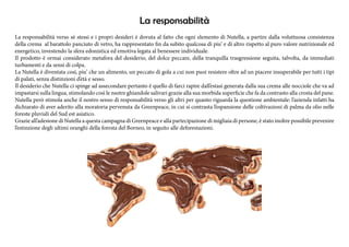 La responsabilità
La responsabilità verso sè stessi e i propri desideri è dovuta al fatto che ogni elemento di Nutella, a partire dalla voluttuosa consistenza
della crema al barattolo panciuto di vetro, ha rappresentato fin da subito qualcosa di piu’ e di altro rispetto al puro valore nutrizionale ed
energetico, investendo la sfera edonistica ed emotiva legata al benessere individuale.
Il prodotto è ormai considerato metafora del desiderio, del dolce peccare, della tranquilla trasgressione seguita, talvolta, da immediati
turbamenti e da sensi di colpa.
La Nutella è diventata così, piu’ che un alimento, un peccato di gola a cui non puoi resistere oltre ad un piacere insuperabile per tutti i tipi
di palati, senza distinzioni d’età e sesso.
Il desiderio che Nutella ci spinge ad assecondare pertanto è quello di farci rapire dall’estasi generata dalla sua crema alle nocciole che va ad
impastarsi sulla lingua, stimolando così le nsotre ghiandole salivari grazie alla sua morbida superficie che fa da contrasto alla crosta del pane.
Nutella però stimola anche il nostro senso di responsabilità verso gli altri per quanto riguarda la questione ambientale: l’azienda infatti ha
dichiarato di aver aderito alla moratoria pervenuta da Greenpeace, in cui si contrasta l’espansione delle coltivazioni di palma da olio nelle
foreste pluviali del Sud est asiatico.
Grazie all’adesione di Nutella a questa campagna di Greenpeace e alla partecipazione di migliaia di persone, è stato inoltre possibile prevenire
l’estinzione degli ultimi oranghi della foresta del Borneo, in seguito alle deforestazioni.
 