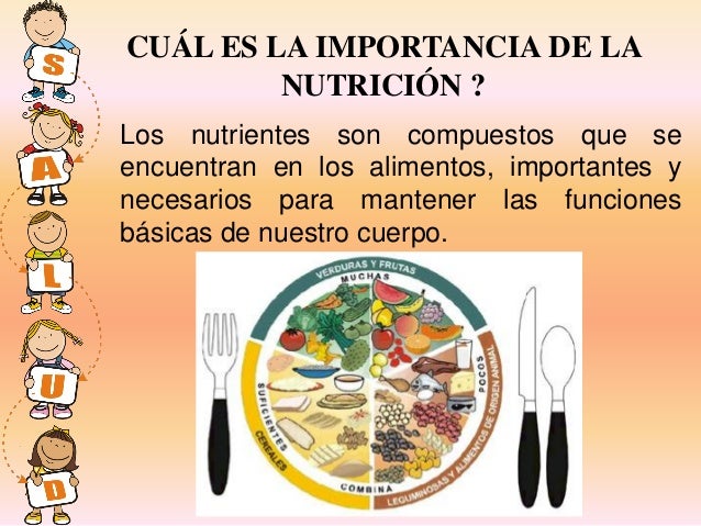 Nuticion conceptos b.