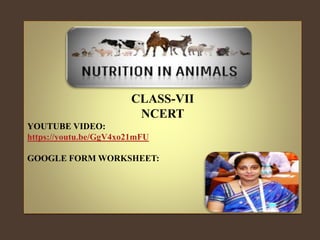 NUTRITION IN ANIMALS -2 (CLASS-VII) NCERT