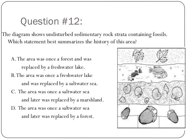diagram of undisturbed strata youngest rock