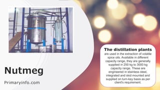 Nutmeg Key Element Nutmeg - database | PDF