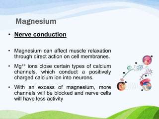 • Nerve conduction
• Magnesium can affect muscle relaxation
through direct action on cell membranes.
• Mg++ ions close certain types of calcium
channels, which conduct a positively
charged calcium ion into neurons.
• With an excess of magnesium, more
channels will be blocked and nerve cells
will have less activity
 