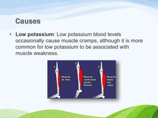 • Low potassium: Low potassium blood levels
occasionally cause muscle cramps, although it is more
common for low potassium to be associated with
muscle weakness.
 