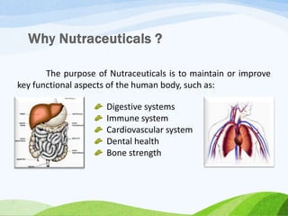 The purpose of Nutraceuticals is to maintain or improve
key functional aspects of the human body, such as:
Digestive systems
Immune system
Cardiovascular system
Dental health
Bone strength
 