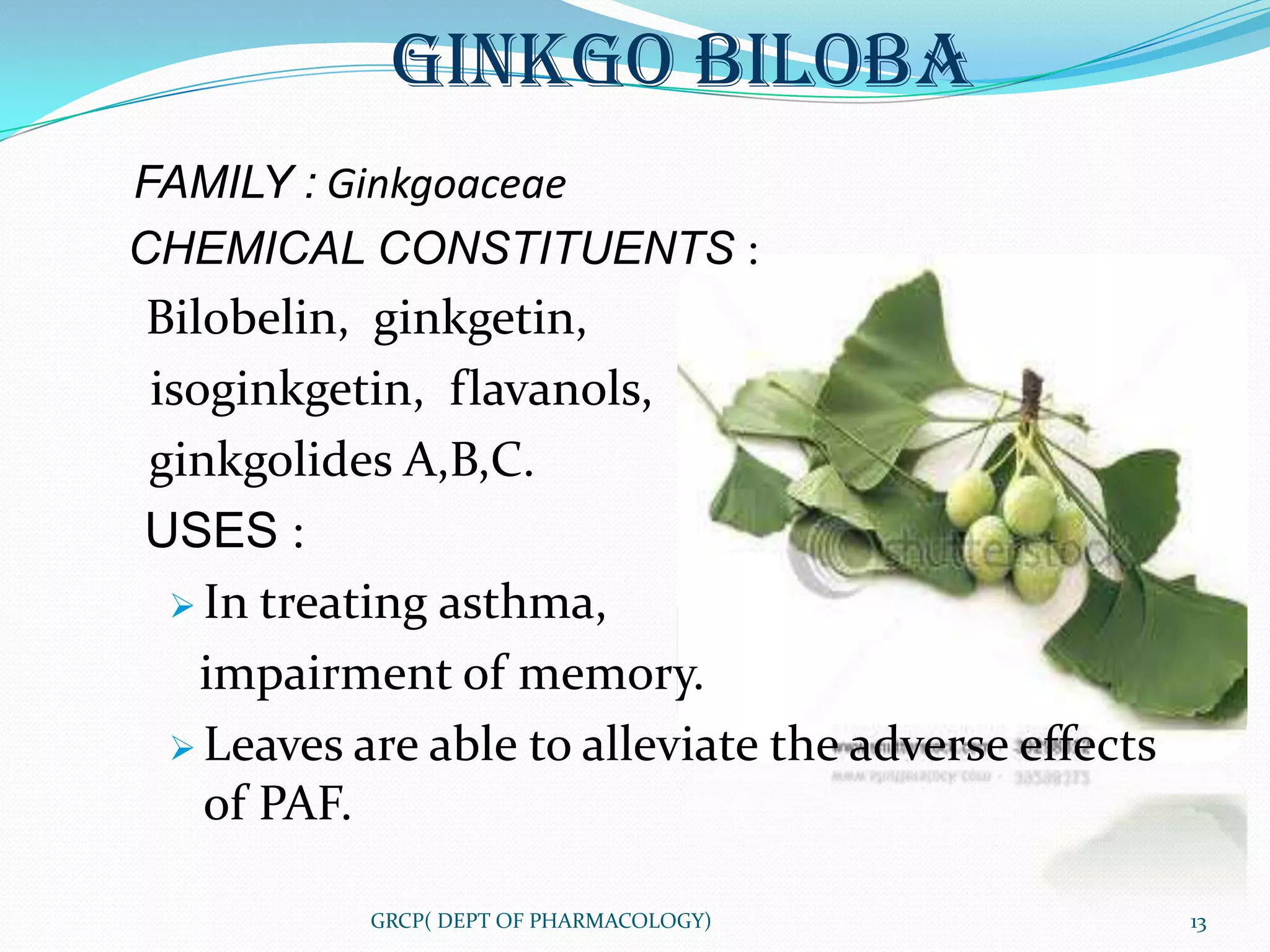 GINKGO BILOBA
FAMILY : Ginkgoaceae
CHEMICAL CONSTITUENTS :
Bilobelin, ginkgetin,
isoginkgetin, flavanols,
ginkgolides A,B,C.
USES :
  In treating asthma,

   impairment of memory.
  Leaves are able to alleviate the adverse effects
   of PAF.

           GRCP( DEPT OF PHARMACOLOGY)                13
 