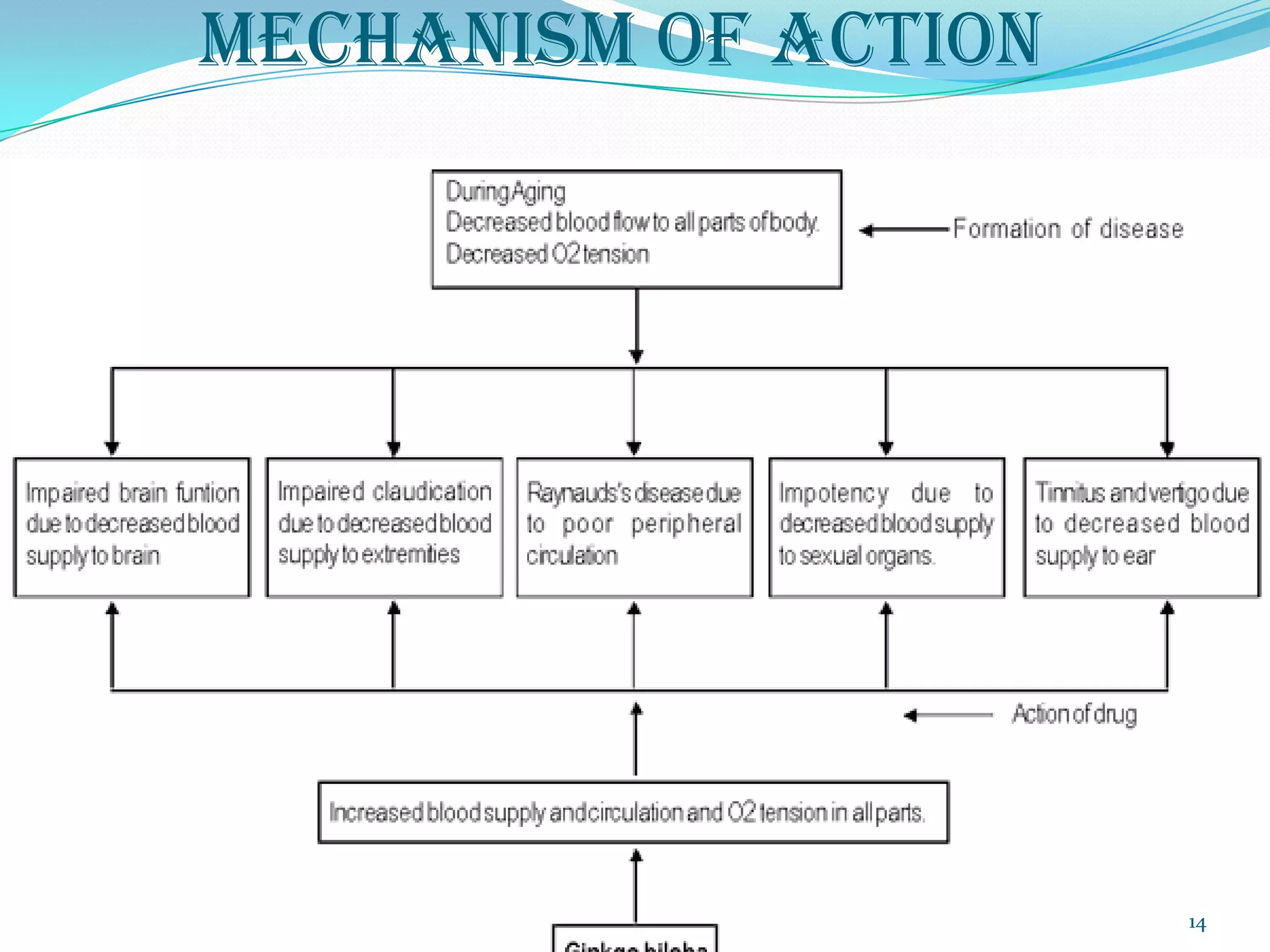 MECHANISM OF ACTION




                      14
 