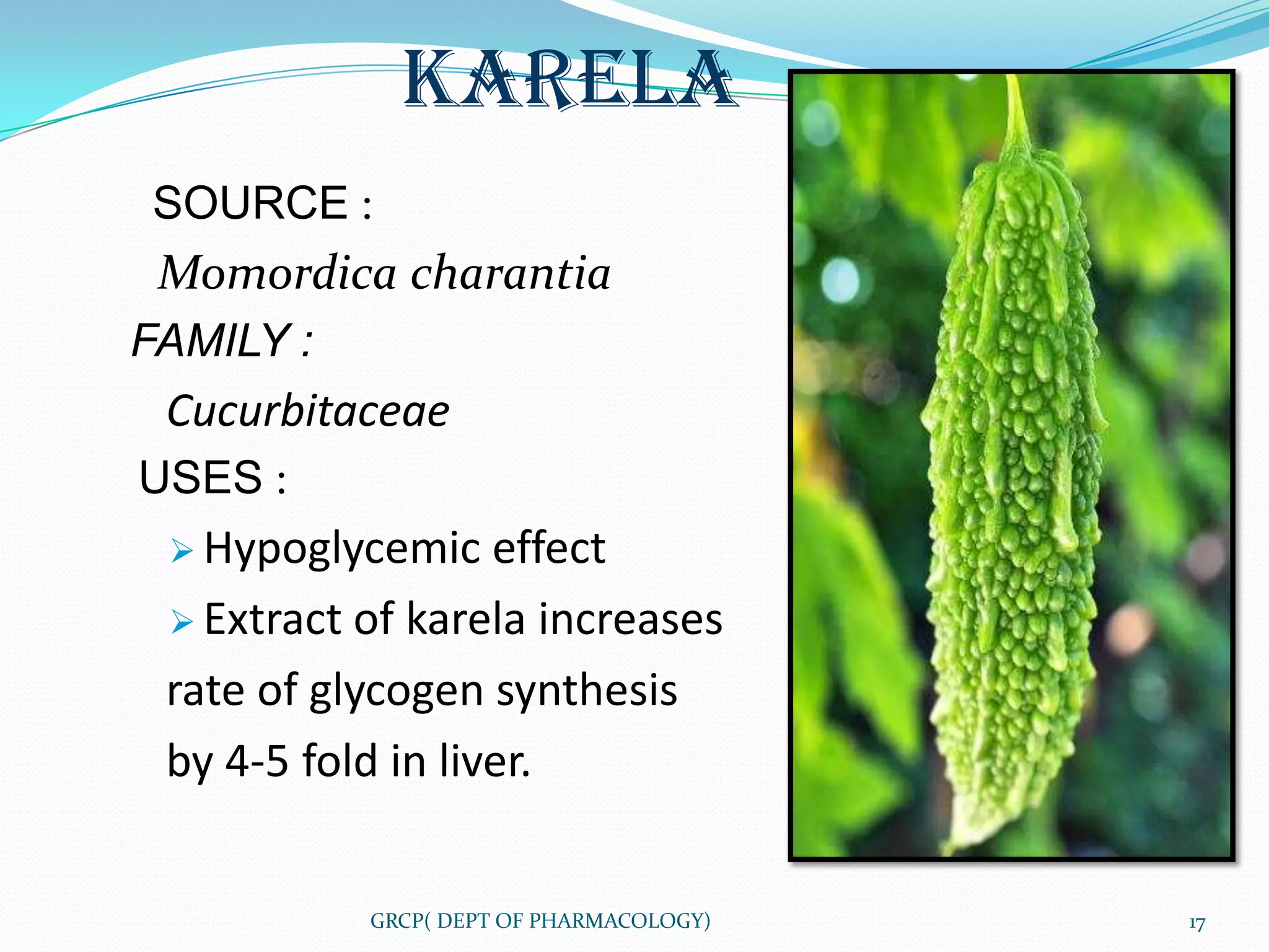 KARELA
SOURCE :
 Momordica charantia
FAMILY :
 Cucurbitaceae
USES :
  Hypoglycemic    effect
  Extract of karela increases

 rate of glycogen synthesis
 by 4-5 fold in liver.


           GRCP( DEPT OF PHARMACOLOGY)   17
 