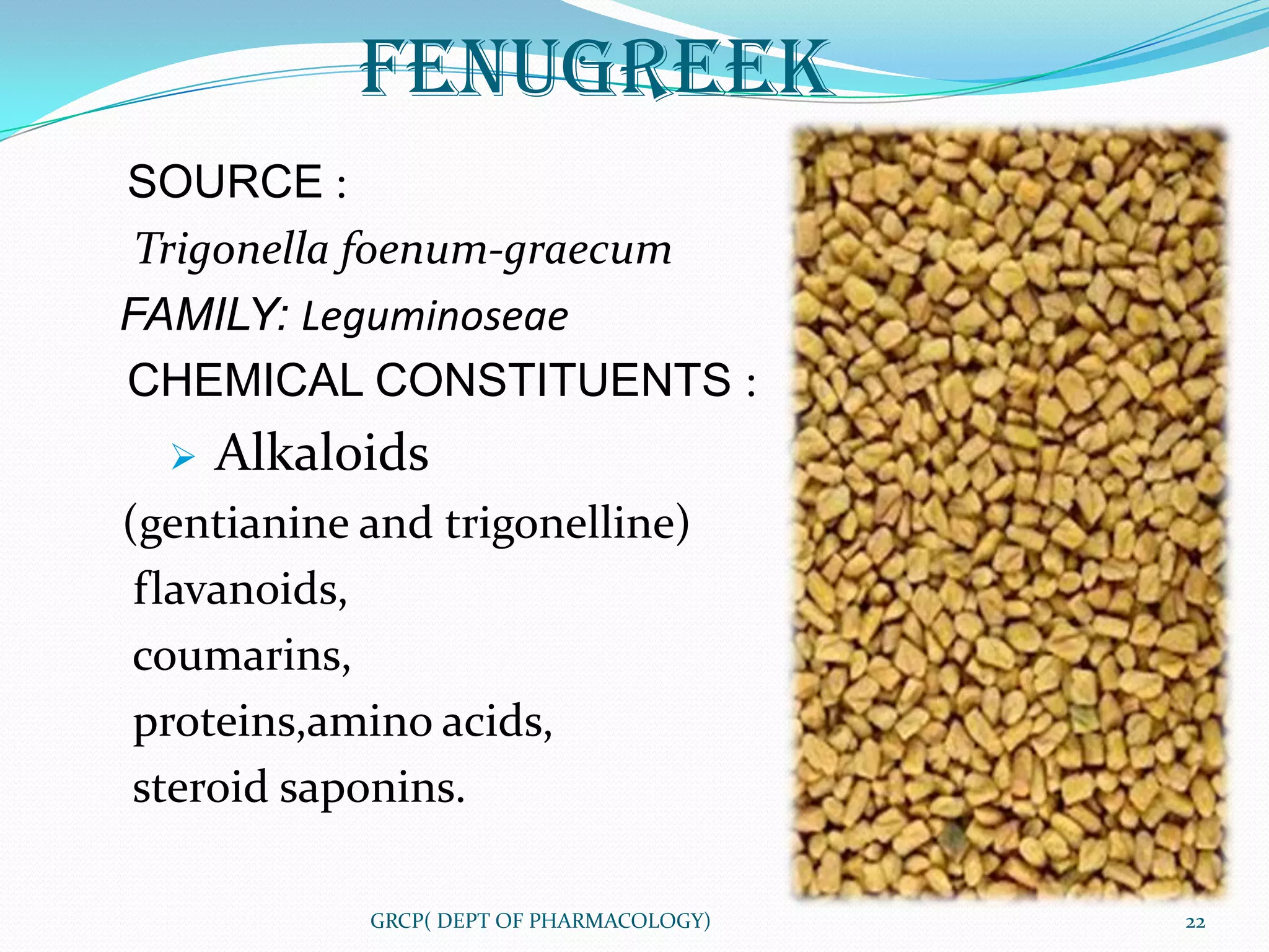 FENUGREEK
SOURCE :
 Trigonella foenum-graecum
FAMILY: Leguminoseae
CHEMICAL CONSTITUENTS :
     Alkaloids
(gentianine and trigonelline)
 flavanoids,
 coumarins,
 proteins,amino acids,
 steroid saponins.

            GRCP( DEPT OF PHARMACOLOGY)   22
 