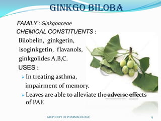 GINKGO BILOBA
FAMILY : Ginkgoaceae
CHEMICAL CONSTITUENTS :
Bilobelin, ginkgetin,
isoginkgetin, flavanols,
ginkgolides A,B,C.
USES :
  In treating asthma,

   impairment of memory.
  Leaves are able to alleviate the adverse effects
   of PAF.

           GRCP( DEPT OF PHARMACOLOGY)                13
 