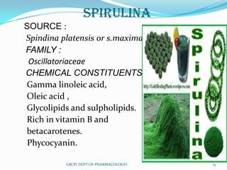 SPIRULINA
SOURCE :
Spindina platensis or s.maxima
FAMILY :
 Oscillatoriaceae
CHEMICAL CONSTITUENTS
Gamma linoleic acid,
Oleic acid ,
Glycolipids and sulpholipids.
Rich in vitamin B and
betacarotenes.
 Phycocyanin.

          GRCP( DEPT OF PHARMACOLOGY)   15
 