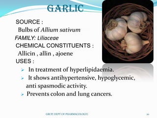 GARLIC
SOURCE :
 Bulbs of Allium sativum
FAMILY: Liliaceae
CHEMICAL CONSTITUENTS :
 Allicin , allin , ajoene
USES :
    In treatment of hyperlipidaemia.
   It shows antihypertensive, hypoglycemic,
    anti spasmodic activity.
   Prevents colon and lung cancers.



             GRCP( DEPT OF PHARMACOLOGY)       20
 