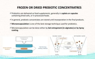 FROZEN OR DRIED PREBIOTIC CONCENTRATRES
Probiotics are delivered as food supplements, generally in caplets or capsules
containing dried cells, or in processed foods.
In general, probiotic concentrates are stored until incorporation in the final products.
Microencapsulation is one of the best storage technique used for probiotics.
Microencapsulation can be done either by Gel entrapment (in alginates) or by Spray
coating.
 