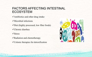 FACTORS AFFECTING INTESTINAL
ECOSYSTEM
Antibiotics and other drug intake
Microbial infections
Diet (highly processed, low fiber foods)
Chronic diarrhea
Stress
Radiation and chemotherapy
Colonic therapies for detoxification
 