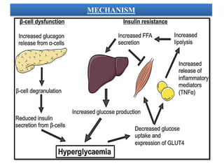 MECHANISM
 