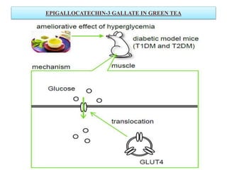 EPIGALLOCATECHIN-3 GALLATE IN GREEN TEA
 