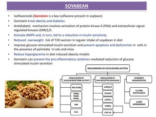 SOYABEAN
• Isoflavonoids (Genistein is a key isoflavone present in soybean)
• Genistein treat obesity and diabetes
• Antidiabetic mechanism involves activation of protein kinase A (PKA) and extracellular-signal-
regulated kinases (ERK)1/2.
• Activate AMPK and, in turn, led to a reduction in insulin sensitivity
• Reduced overweight risk of T2D women in regular intake of soyabean in diet
• Improve glucose-stimulated insulin secretion and prevent apoptosis and dysfunction in cells in
the presence of palmitate in rats and mice
• Reduce hyperglycemia in diet-induced obesity models
• Genistein can prevent the pro-inflammatory cytokines-mediated reduction of glucose
stimulated insulin secretion
 