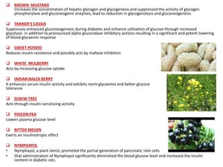  BROWN MUSTARD
Increases the concentration of hepatic glycogen and glycogenesis and suppressed the activity of glycogen
phosphorylase and gluconeogenic enzymes, lead to reduction in glycogenolysis and gluconeogenesis
 TANNER’S CASSIA
Suppresses enhanced gluconeogenesis during diabetes and enhance utilization of glucose through increased
glycolysis in addition to pronounced alpha-glucosidase inhibitory actions resulting in a significant and potent lowering
of blood glycaemic response
 SWEET POTATO
Reduces insulin resistance and possibly acts by maltase inhibition
 WHITE MULBERRY
Acts by increasing glucose uptake
 INDIAN BALCK BERRY
It enhances serum insulin activity and exhibits norm glycaemia and better glucose
tolerance
 SCREW TREE
Acts through insulin-sensitizing activity
 PIGEON PEA
Lowers plasma glucose level
 BITTER MELON
Exerts an insulinotropic effect
 NYMPHAYOL
• Nymphayol, a plant sterol, promoted the partial generation of pancreatic islet cells
• Oral administration of Nymphayol significantly diminished the blood glucose level and increased the insulin
content in diabetic rats.
 