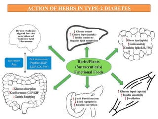 ACTION OF HERBS IN TYPE-2 DIABETES
 