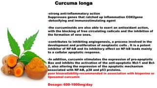 Curcuma longa
-strong anti-inflammatory action
Suppresses genes that ratched up inflammation COX2gene
-detoxifying and immunostimulating agent
-the curcuminoids are also able to exert an antioxidant action,
with the blocking of free circulating radicals and the inhibition of
the formation of new ones.
-contributes to inhibiting angiogenesis, a process involved in the
development and proliferation of neoplastic cells . It is a potent
inhibitor of NF-kB and its inhibitory effect on NF-kB leads mainly
to a cellular apoptotic response.
-In addition, curcumin stimulates the expression of pro-apoptotic
Bax and inhibits the activation of the anti-apoptotic Mcl-1 and Bcl-
2, also altering the expression of the apoptotic mechanism
associated with NF-kB, p38 and p53 proteins.
poor bioavailability-recommended in association with bioperine or
liposomal curcumin
Dosage: 600-1000mg/day
 