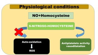 Physiological conditions
NO+Homocysteine
S-NITROSO-HOMOCYSTEINE
Antiplatelets activity
vasodilatation
Auto-oxidation
ROS
 