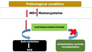 Pathological condition
NO+ Homocysteine
S-NITROSO-HOMOCYSTEINE
Auto-oxidation
ROS
Antiplatelets activity
vasodilatation
 