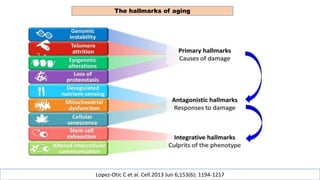 The hallmarks of aging
Lopez-Otic C et al. Cell.2013 Jun 6;153(6): 1194-1217
 