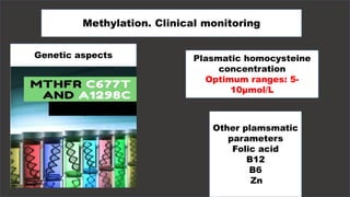 Methylation. Clinical monitoring
Genetic aspects Plasmatic homocysteine
concentration
Optimum ranges: 5-
10µmol/L
Other plamsmatic
parameters
Folic acid
B12
B6
Zn r
 
