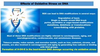 Effects of Oxidative Stress on DNA
ROS can lead to DNA modifications in several ways:
Degradation of basis
Single or double strand DNA break
purine, pyrimidine or sugar-bound modifications
mutations, deletions or translocations
cross-linking with proteins.
Most of these DNA modifications are highly relevant to carcinogenesis, aging, and
neurodegenerative, cardiovascular, and autoimmune diseases.
Tobacco smoke, redox metals, and nonredox metals, such as iron, cadmium, chrome, and
arsenic, are also involved in carcinogenesis and aging by generating free radicals or binding
with thiol groups.
Formation of 8-OH-G is the best-known DNA damage occurring via oxidative stress
 