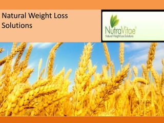 .
.
.
Natural Weight Loss
Solutions
 