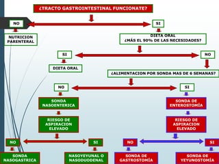 ¿TRACTO GASTROINTESTINAL FUNCIONATE?
NO SI
NUTRICION
PARENTERAL
DIETA ORAL
¿MÁS EL 90% DE LAS NECESIDADES?
¿ALIMENTACION POR SONDA MAS DE 6 SEMANAS?
SI NO
DIETA ORAL
NO SI
SONDA
NASOENTERICA
SONDA DE
ENTEROSTOMÍA
RIESGO DE
ASPIRACION
ELEVADO
RIESGO DE
ASPIRACION
ELEVADO
NO SI SINO
NASOYEYUNAL O
NASODUODENAL
SONDA
NASOGASTRICA
SONDA DE
GASTROSTOMÍA
SONDA DE
YEYUNOSTOMÍA
 