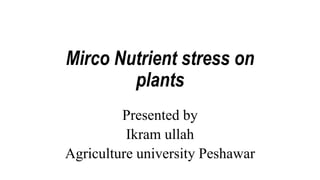 Mirco Nutrient stress on
plants
Presented by
Ikram ullah
Agriculture university Peshawar
 