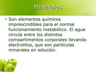 Minerales Son elementos químicos imprescindibles para el normal funcionamiento metabólico. El agua circula entre los distintos compartimentos corporales llevando electrolitos, que son partículas minerales en solución.  