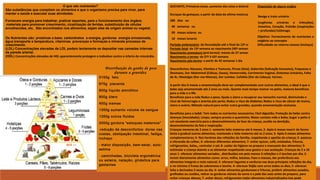 O que são nutrientes?
São substâncias que compõem os alimentos e que o organismo precisa para viver, para
manter a saúde e executar suas atividades.
Fornecem energia para trabalhar, praticar esportes, para o funcionamento dos órgãos;
materiais para promover crescimento, cicatrização de feridas, substituição de células
envelhecidas, etc. São encontrados nos alimentos, sejam eles de origem animal ou vegetal.
Os Nutrientes são: proteínas a base, carboidratos a energia, gorduras energia armazenada,
água transporte e temperatura, vitaminas prevençao e formaçao e minerais processo de
crescimento.
(LDL) Concentrações elevadas de LDL podem lentamente se depositar nas camadas internas
da parede arterial.
(HDL) Concentrações elevadas de HDL aparentemente protegem o indivíduo contra o infarto do miocárdio.
GESTANTE; Primeiros sinais, aumento dos seios e doloridos.
Duraçao da gestaçao; a partir da data da ultima mestruaçao.
280 dias ou
40 semanas ou
09 meses solares ou
10 meses lunares
Período embrionário: da fecundação até o final da 12ª semana
Período fetal: da 13ª semana ao nascimento (40ª semana)
Nascimento prematuro (pré-termo): menos de 37 semanas
Nascimento a termo: da 37ª à 42ª semana
Nascimento pós-termo: a partir de 42 semanas 1 dia
Desconfortos; Náuseas, Vômitos e Tonturas, Pirose (Azia), Sialorréia (Salivação Excessiva), Fraquezas e
Desmaios, Dor Abdominal (Cólicas, Gases), Hemorroida, Corrimento Vaginal, Sintomas Urinários, Falta
de Ar, Mastalgia (Dor nas Mamas), Dor Lombar, Cefaléia (Dor de Cabeça), Varizes.
A partir dos 6 meses a amamentação deve ser complementada com outros alimentos, o ideal é que o
bebe seja amamentado até 2 anos ou mais. Quanto mais tempo mamar no peito, maiores benefícios
para a mãe e o RN.
Benefícios para a mãe Reduz o peso; Ajuda o útero a recuperar seu tamanho normal, diminuindo o
risco de hemorragia e anemia pós parto; Reduz o risco de diabetes; Reduz o risco de câncer de mama,
útero e ovário; Método natural para evitar outra gravidez, quando amamentação exclusiva.
Benefícios para o bebê: Tem todos os nutrientes necessários; Fácil digestão; Proteção do bebe contra
doenças (imunidade); Limpo, sempre pronto e quentinho; Maior contato mãe e bebe; Sugar o peito é
um excelente exercício para o desenvolvimento da face da criança, auxilia na dentição,
desenvolvimento da fala e respiração.
Crianças menores de 2 anos 1- somente leito materno até 6 meses; 2- Após 6 meses inserir de forma
lenta e gradual outros alimentos, mantendo o leite materno até os 2 anos; 3- Após 6 meses alimentos
complementares; 4- Nos horários das refeições da família, respeitando o apetite da criança; 5- pastosa
e oferecida de colher, 6- oferecer diferentes alimentos; 7- evitar açúcar, café, enlatados, frituras,
refrigerantes, balas,, controlar o sal; 8- cuidar da higiene no preparo e manuseio dos alimentos; 9-
estimular a criança doente a se alimentar respeitando seus gostos e sua aceitação. Crianças de 2 a 10
anos 1- oferecer alimentos variados , distribuídos em pelo menos 3 refeições e 2 lanches por dia; 2-
incluir diariamente alimentos como: arroz, milho, batatas, Paes e massas, dar preferência aos
alimentos integrais e mais natural; 3- oferecer legumes e verduras nas duas principais refeições do dia,
e no mínimo 2 frutas de sobremesa e lanche. 4- oferecer feijão com arroz todos os dias; 5- oferecer
leite e derivados 3 vezes ao dia. 6- evitar alimentos gordurosos e frituras, preferir alimentos assados,
grelhados ou cozidos, retirar as gorduras visíveis da carne e a pele das aves antes do preparo, para
evitar crianças obesas; 7- evitar doces, refrigerantes todos alimentos industrializados isso pode
Disposição de alguns órgãos
Bexiga e trato urinário
(urgências urinárias e infecções),
Intestino, Coração, Pulmão (respirações
+ profundas) Estômago
Objetivo: Fornecimento de nutrientes e
oxigênio ao concepto
Dificuldade no retorno venoso (inchaço)
Distribuição do ganho de peso
durante a gravidez
3150g feto
675g placenta
900g líquido amniótico
900g útero
450g mamas
1350g aumento volume de sangue
1350g outros fluidos
2000g gordura “estoques maternos”
-redução de desconfortos: dores nas
costas, obstipação intestinal, fadiga,
inchaço
- maior disposição, bem-estar, auto-
estima
- caminhadas, bicicleta ergométrica
ou esteira, natação, ginástica para
gestantes
 