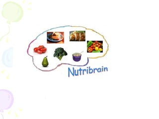 Nutribrain 