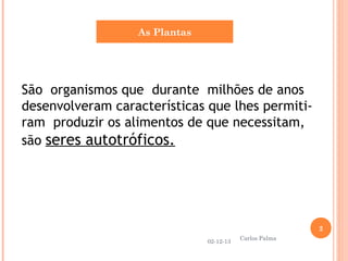 As Plantas

São organismos que durante milhões de anos
desenvolveram características que lhes permitiram produzir os alimentos de que necessitam,
são seres autotróficos.

2
02-12-13

Carlos Palma

 