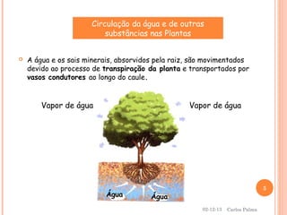 Circulação da água e de outras
substâncias nas Plantas


A água e os sais minerais, absorvidos pela raiz, são movimentados
devido ao processo de transpiração da planta e transportados por
vasos condutores ao longo do caule.

Vapor de água

Vapor de água

Água

5

Água
02-12-13

Carlos Palma

 