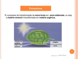 Fotossíntese
É o processo de transformação da seiva bruta em seiva elaborada, ou seja,
a matéria mineral é transformada em matéria orgânica.

8
02-12-13

Carlos Palma

 