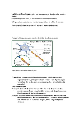 Lipídios anfipáticos (células que possuem uma ligação polar e outra
apolar)
Glicerofosfolipídeos: estão na face externa da membrana plasmática
Esfingomielinas: presentes nas membranas plamáticas de células de animais.
Fosfolipídios: Formam a camada dupla da membrana celular.
Principal célula que possuem esse tipo de lipídio: Neurônios cerebrais
Fonte: etudocienciacdb.blogspot.com
Esteróides: Estas substâncias são encontradas em abundância nos
organismos vivos, principalmente em animais e em algumas algas
vermelhas. São solúveis em solventes orgânicos (alcool e éter são
exemplos).
Tipos de Esteróides:
Colesterol: Sem colesterol não haveria vida. Faz parte da estrutura das
membranas celulares, sendo também um reagente de partida para a
biossíntese de vários hormônios como:
. Cortisol: hormônio produzido pela glândula supra-renal e responsável pela
resposta ao estresse. Na sua forma sintética á chamado Hidrocortisona,
anti-inflamatório de combate a alergias, artrite e alguns tipos de
cânceres.
 