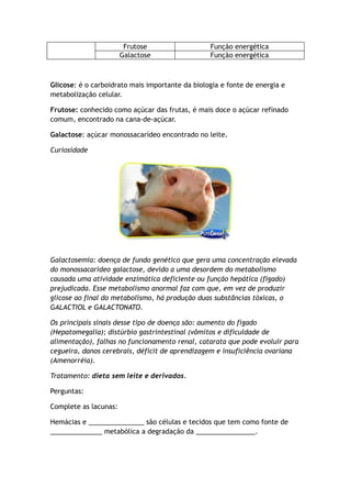 Frutose Função energética
Galactose Função energética
Glicose: é o carboidrato mais importante da biologia e fonte de energia e
metabolização celular.
Frutose: conhecido como açúcar das frutas, é mais doce o açúcar refinado
comum, encontrado na cana-de-açúcar.
Galactose: açúcar monossacarídeo encontrado no leite.
Curiosidade
Galactosemia: doença de fundo genético que gera uma concentração elevada
do monossacarídeo galactose, devido a uma desordem do metabolismo
causada uma atividade enzimática deficiente ou função hepática (fígado)
prejudicada. Esse metabolismo anormal faz com que, em vez de produzir
glicose ao final do metabolismo, há produção duas substâncias tóxicas, o
GALACTIOL e GALACTONATO.
Os principais sinais desse tipo de doença são: aumento do fígado
(Hepatomegalia); distúrbio gastrintestinal (vômitos e dificuldade de
alimentação), falhas no funcionamento renal, catarata que pode evoluir para
cegueira, danos cerebrais, déficit de aprendizagem e insuficiência ovariana
(Amenorréia).
Tratamento: dieta sem leite e derivados.
Perguntas:
Complete as lacunas:
Hemácias e _______________ são células e tecidos que tem como fonte de
______________ metabólica a degradação da ________________.
 