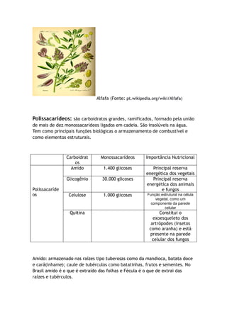 Alfafa (Fonte: pt.wikipedia.org/wiki/Alfafa)
Polissacarídeos: são carboidratos grandes, ramificados, formado pela união
de mais de dez monossacarídeos ligados em cadeia. São insolúveis na água.
Tem como principais funções biológicas o armazenamento de combustível e
como elementos estruturais.
Carboidrat
os
Monossacarídeos Importância Nutricional
Polissacaríde
os
Amido 1.400 glicoses Principal reserva
energética dos vegetais
Glicogênio 30.000 glicoses Principal reserva
energética dos animais
e fungos
Celulose 1.000 glicoses Função estrutural na célula
vegetal, como um
componente da parede
celular
Quitina Constitui o
exoesqueleto dos
artrópodes (insetos
como aranha) e está
presente na parede
celular dos fungos
Amido: armazenado nas raízes tipo tuberosas como da mandioca, batata doce
e cará(inhame); caule de tubérculos como batatinhas, frutos e sementes. No
Brasil amido é o que é extraído das folhas e Fécula é o que de extrai das
raízes e tubérculos.
 
