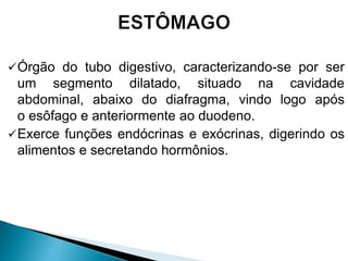 Órgão do tubo digestivo, caracterizando-se por ser
um segmento dilatado, situado na cavidade
abdominal, abaixo do diafragma, vindo logo após
o esôfago e anteriormente ao duodeno.
Exerce funções endócrinas e exócrinas, digerindo os
alimentos e secretando hormônios.
 