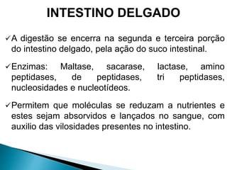 A digestão se encerra na segunda e terceira porção
do intestino delgado, pela ação do suco intestinal.
Enzimas: Maltase, sacarase, lactase, amino
peptidases, de peptidases, tri peptidases,
nucleosidades e nucleotídeos.
Permitem que moléculas se reduzam a nutrientes e
estes sejam absorvidos e lançados no sangue, com
auxilio das vilosidades presentes no intestino.
INTESTINO DELGADO
 