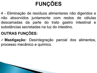 FUNÇÕES
4 - Eliminação de resíduos alimentares não digeridos e
não absorvidos juntamente com restos de células
descamadas da parte do trato gastro intestinal e
substâncias secretadas na luz do intestino.
OUTRAS FUNÇÕES:
 Mastigação: Desintegração parcial dos alimentos,
processo mecânico e químico.
 