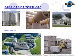 FÁBRICAS DA TORTUGA : FONTE : TORTUGA 