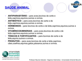 SAÚDE ANIMAL ANTIPARASITÁRIO  – para aves,bovinos de corte e leite,caprinos,equinos,suinos e ovinos. ANTIBIÓTICO  – para aves,bovinos de corte e de leite,caprinos,equinos,suinos e ovinos. HÔRMONIOS  – para bovinos de corte e de leite,caprinos,equinos,suinos e ovinos. VITAMÍNICOS/MINERAIS  – para aves,bovinos de corte e de leite,caprinos,equinos,suinos e ovinos. TÔNICOS E FORTIFICANTES  – para bovinos de corte e de leite,equino,suinos e ovinos. PRODUTOS  – para aves,bovinos de corte e leite,caprinos, cães,coelhos,equinos,gatos,pássaros,suinos e ovinos. 