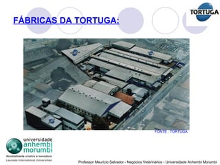 FÁBRICAS DA TORTUGA: FONTE : TORTUGA 