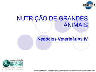 NUTRIÇÃO DE GRANDES ANIMAIS Negócios Veterinários IV 