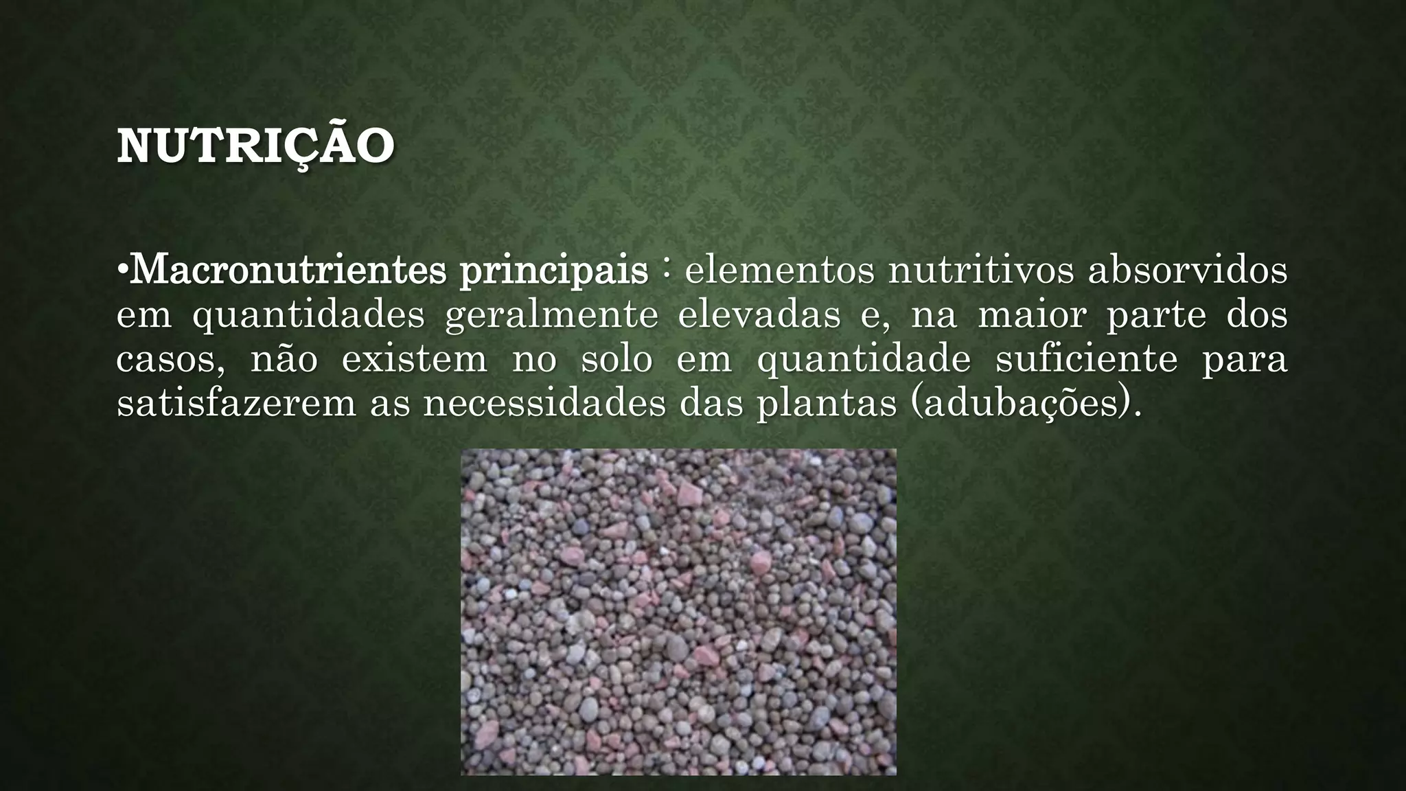 Nutricao das plantas 1 | PPTX