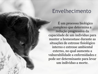Envelhecimento
É um processo biológico
complexo que determina a
redução progressiva da
capacidade de um indivíduo para
manter a homeostase durante as
situações de estresse fisiológico
interno e estresse ambiental
externo, no qual aumenta a
vulnerabilidade a enfermidades e
pode ser determinante para levar
um individuo a morte.
 