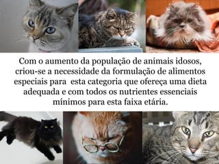 Com o aumento da população de animais idosos,
criou-se a necessidade da formulação de alimentos
especiais para esta categoria que ofereça uma dieta
adequada e com todos os nutrientes essenciais
mínimos para esta faixa etária.
 